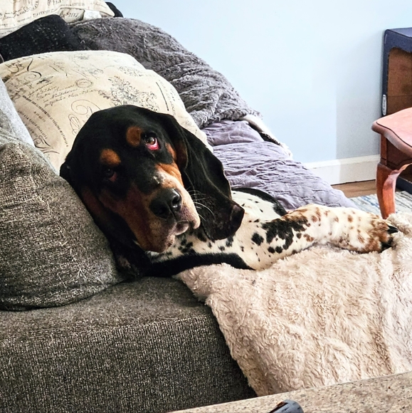 Meet your Posher, Victoria - Picture 6 of 6